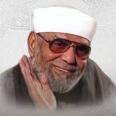(إن تنصروا الله ينصركم ويثبت أقدامكم )