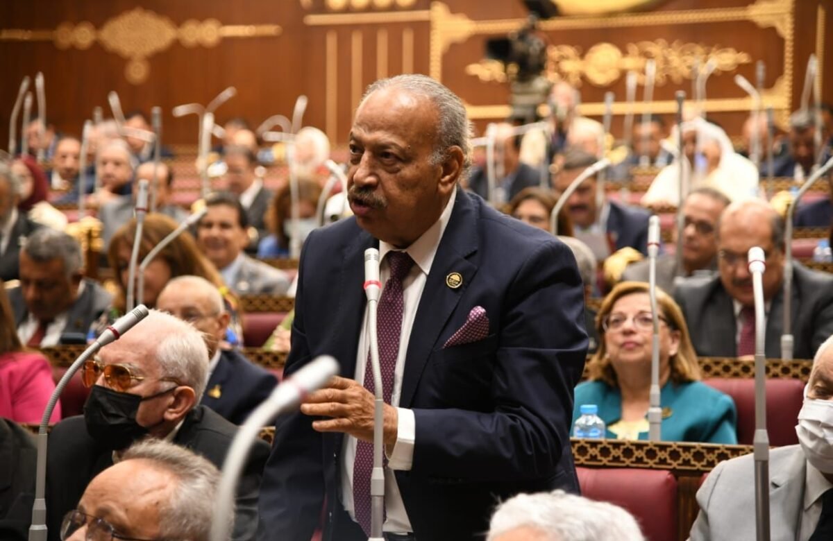 هاني العسال: حديث الرئيس السيسي برهن على وحدة الدولة المصرية شعباً وقيادة للحفاظ على الأمن القومي المصري