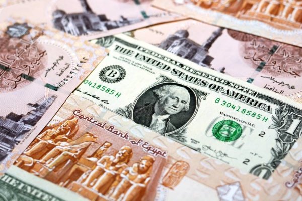 استقرار سعر الدولار مقابل الجنيه المصري اليوم الإثنين 10 مارس 2025