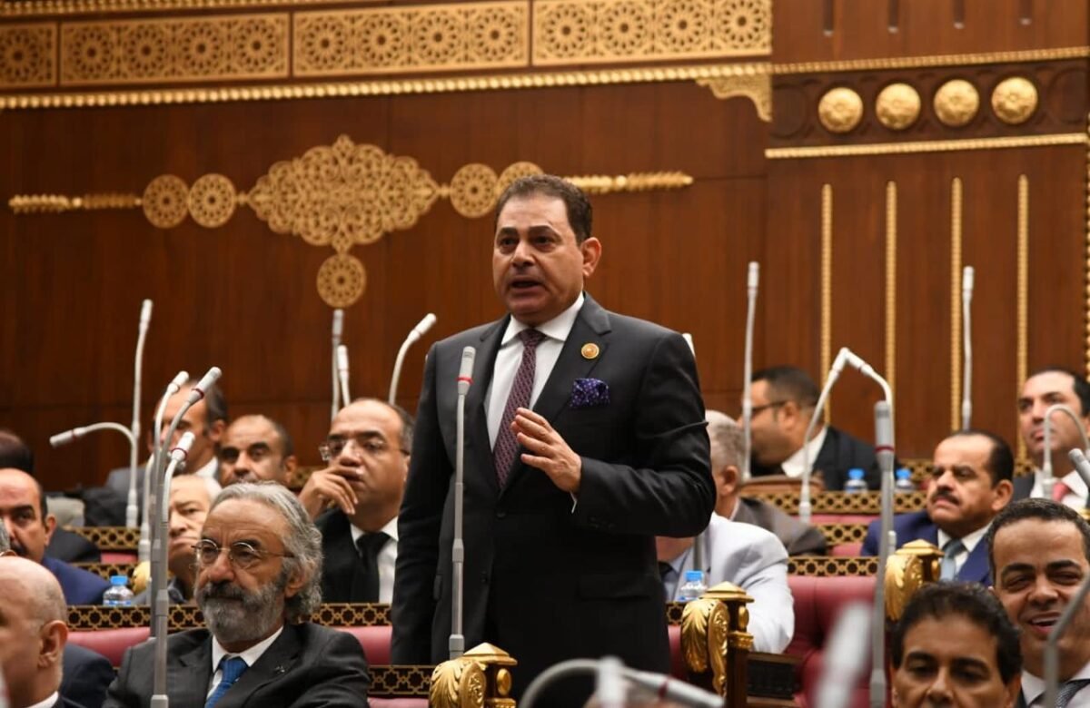 فتحي: الدولة تعيد ترميم جسور الثقة مع المصريين بالخارج