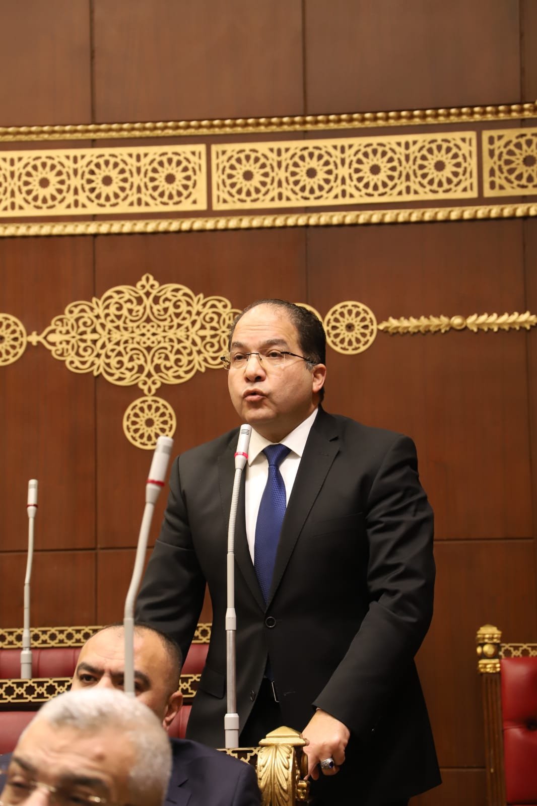 اللمعي: ضبط الإنفاق والارتقاء بالمنظومة الضريبية شرط رئيسي لاستمرار تعافي الاقتصاد المصري
