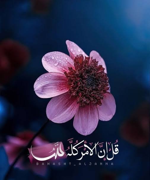 سلوكيات خاطئه من بعض البشر