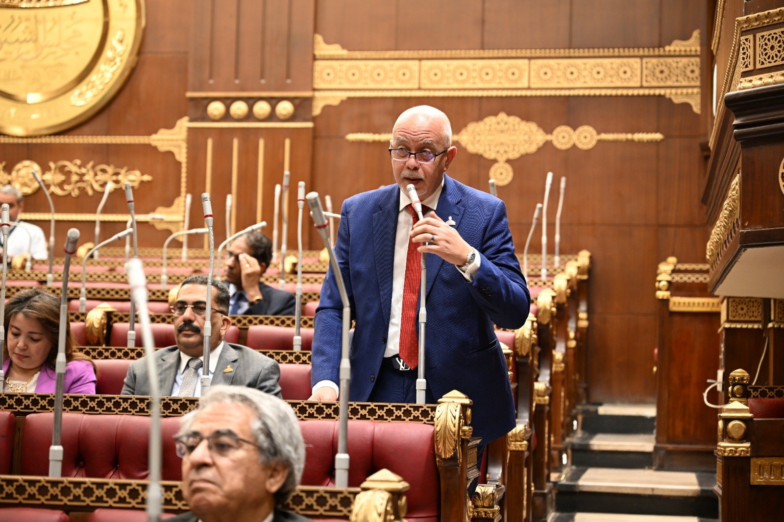 برلماني : زيارة ماكرون تعكس جهود الرامية لتعزيز العلاقات الخارجية