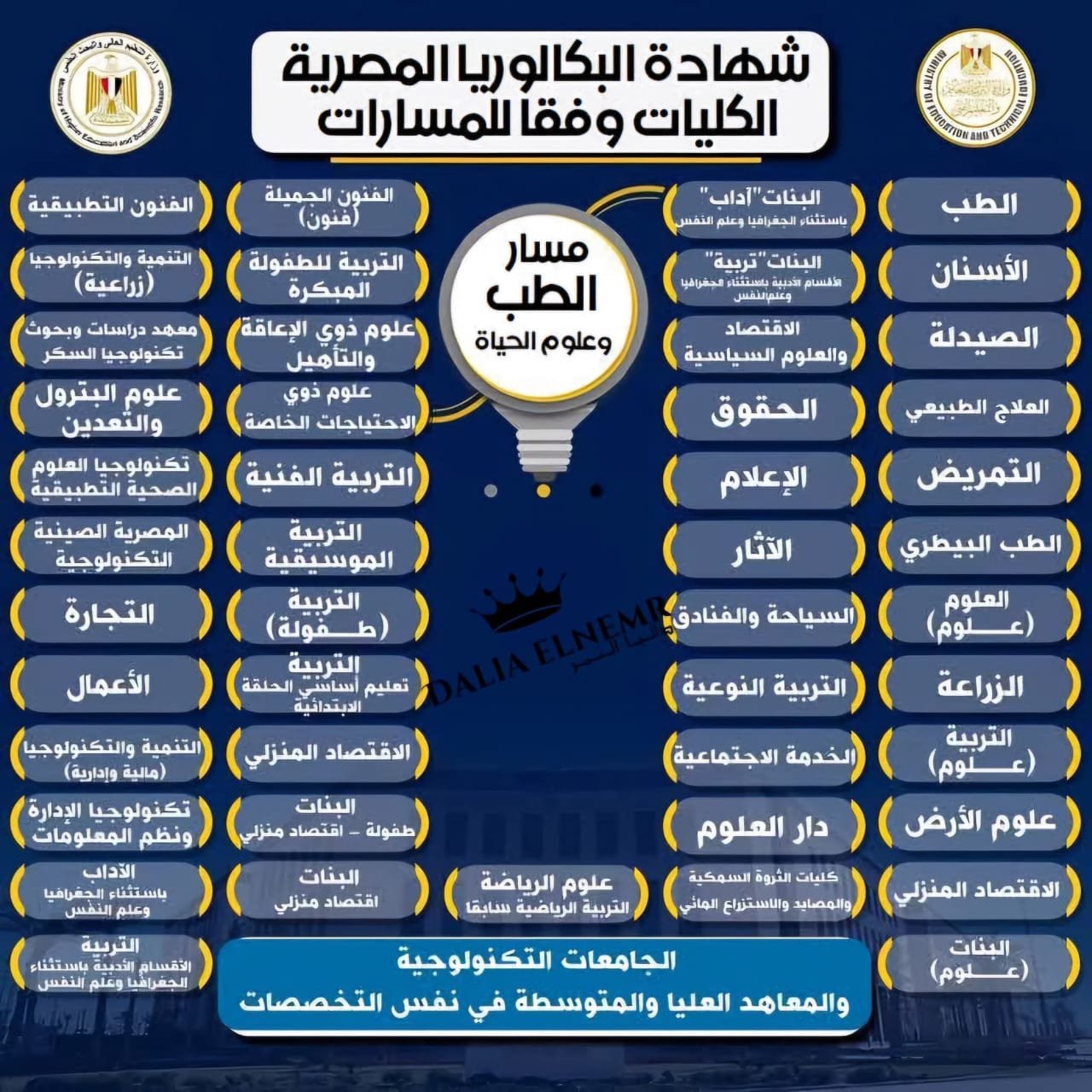 كليات تناسب مسارات البكالوريا المصرية