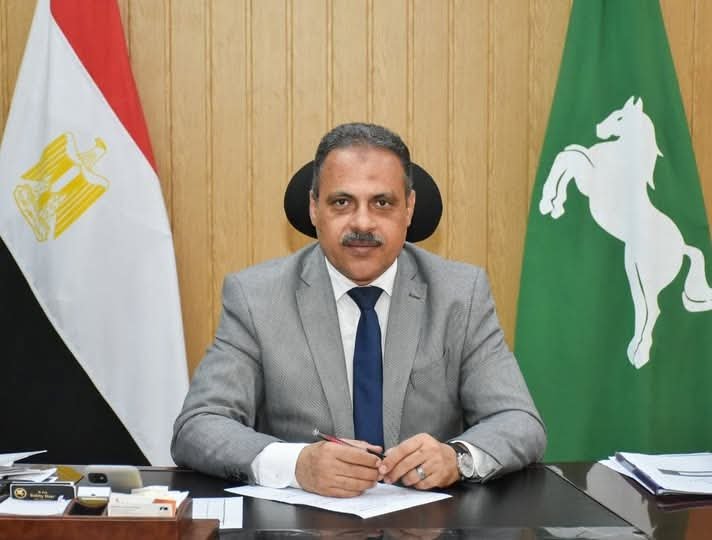 ضبط لحوم ومجمدات منتهية الصلاحية بالعاشر من رمضان