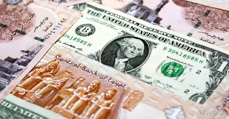 الدولار يواصل الثبات أمام الجنيه المصري اليوم الأحد 5 أكتوبر 2025