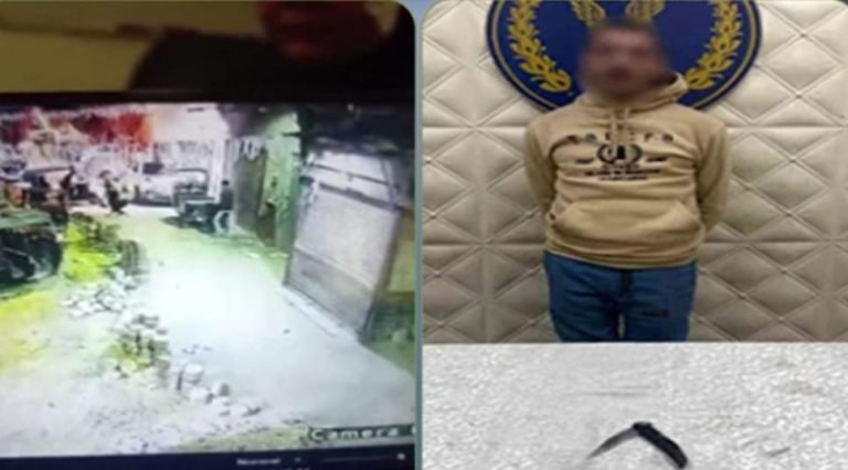 الدائرة 20 تاجيل محاكمه ساره خليفه وآخرين الي جلسه 4 مارس الجاري 