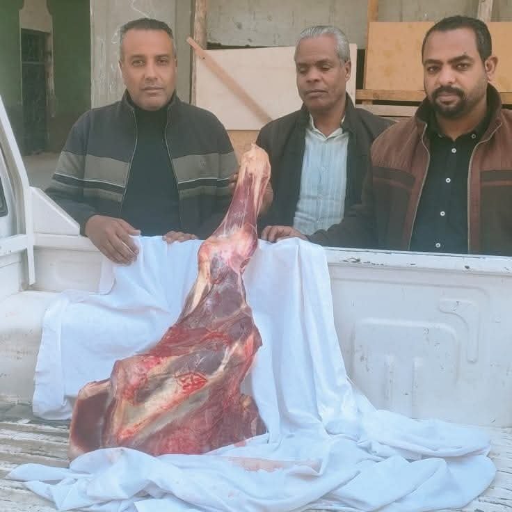ضبط جزار لذبحة خارج المجزر الحكومى و وضع أختام وهمية لتضليل المواطنين بالطود